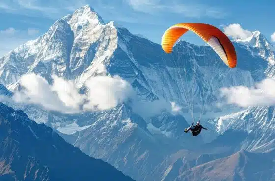 Levakant Poppy Field