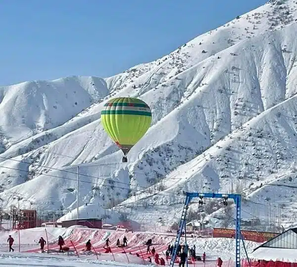 275463691 3174693099453981 98384241712736994 n