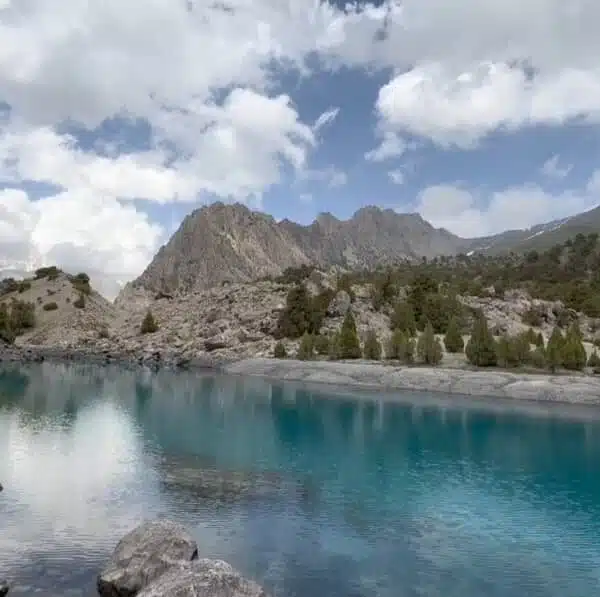 WhatsApp Image 2025 11 24 at 4.05.59 AM