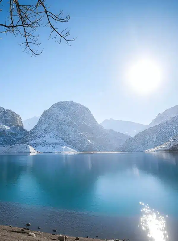 steptodown.com905539